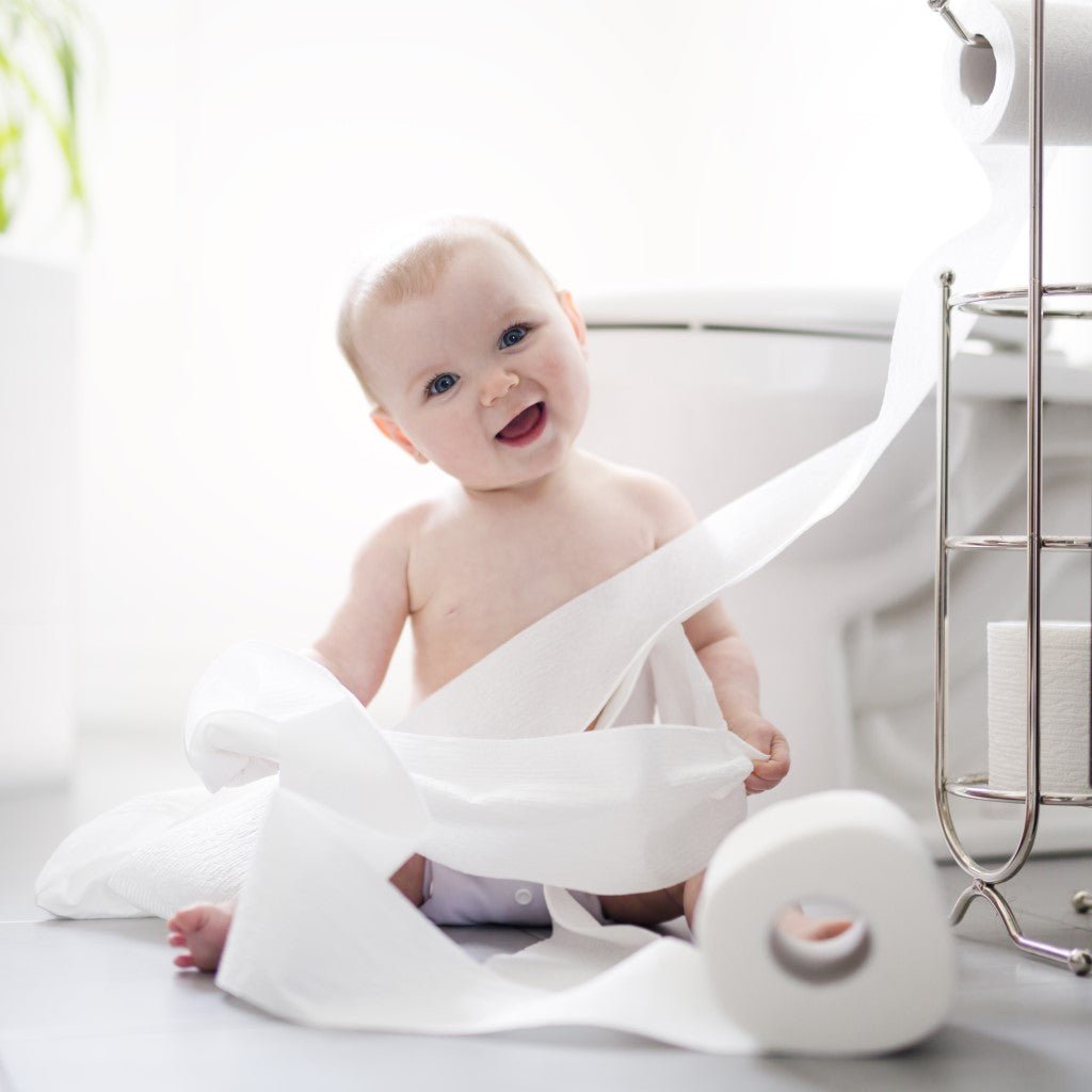 Toilet Paper - The WPop Shop