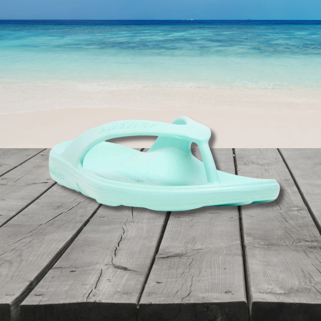 Starfish Classic 3.3