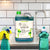 Suds Up Hand Dishwashing Detergent