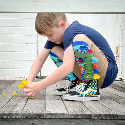 Dinosaur Socks - MADMIA - The WPop Shop